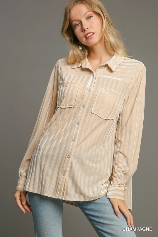 Umgee Champagne Metallic & Striped Collared Top